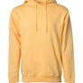 Women's Fleece Hoodie